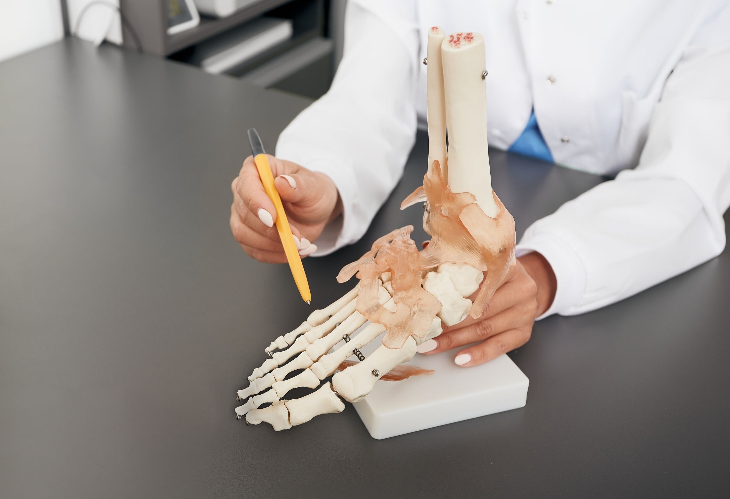Podiatre qui pointe une structure sur un modèle anatomique de pied